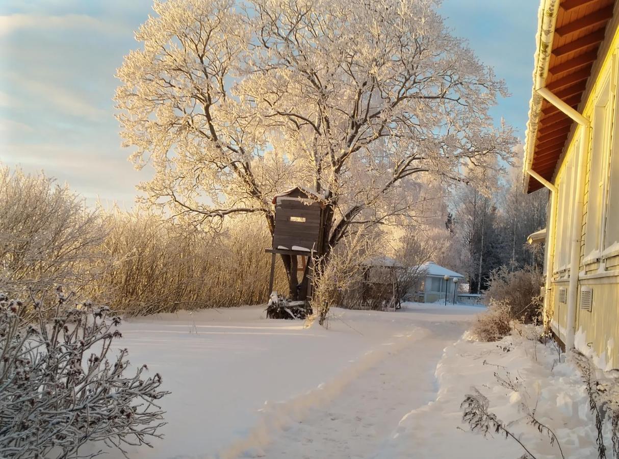 Majatalo Myoetaetuuli Hotell Pitkajarvi  Exteriör bild